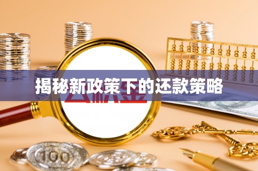 一站式揭秘新政策下的还款策略