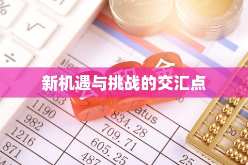 一站式新机遇与挑战的交汇点